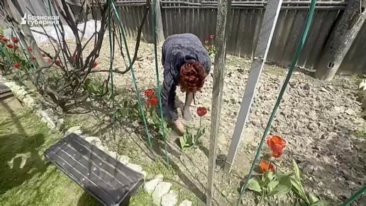      5 ,    ,   