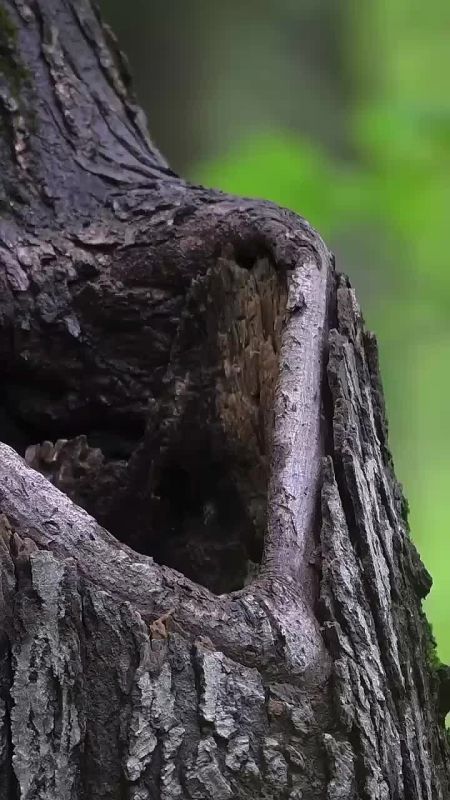  .  ?
