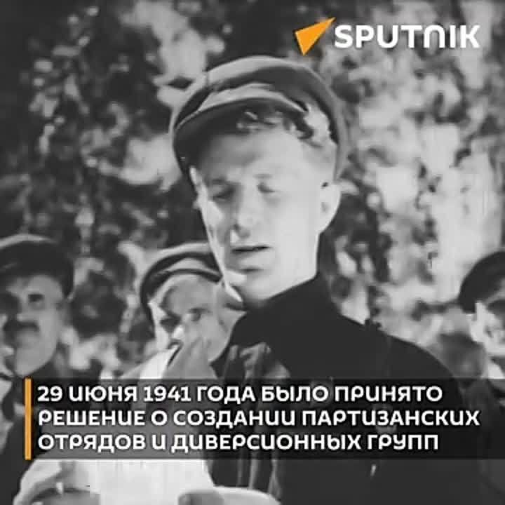        29 
