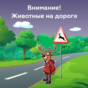    . , ,     ,       