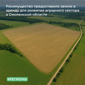    ,        o         300 ,     ...