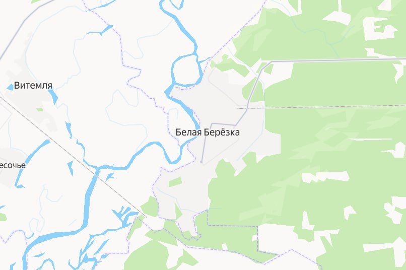 Девять человек пострадали во время удара по жилым домам в поселке Белая Березка Брянской области