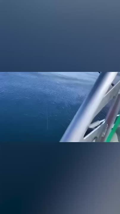   .      