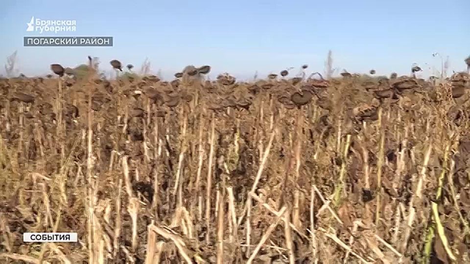  3200  ,       ,        