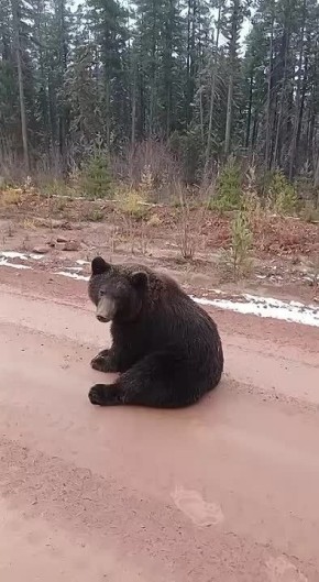            ,    