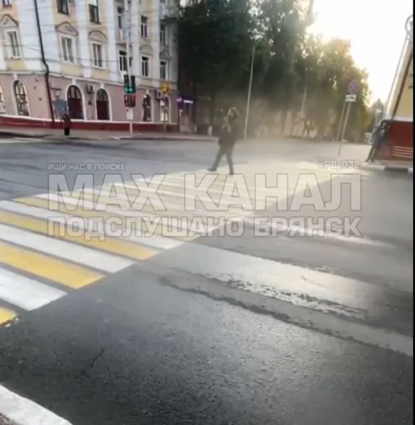 В Брянске полицейские привлекли к ответственности мужчину, который танцевал на проезжей части