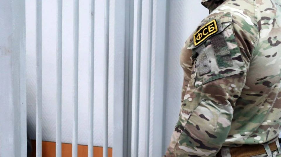 В соседней с Брянской областью несовершеннолетняя подозревается в госизмене