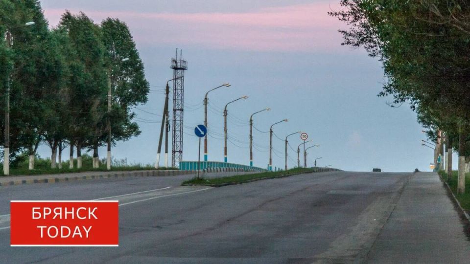 В Брянском районе лежащее дерево устроило ДТП