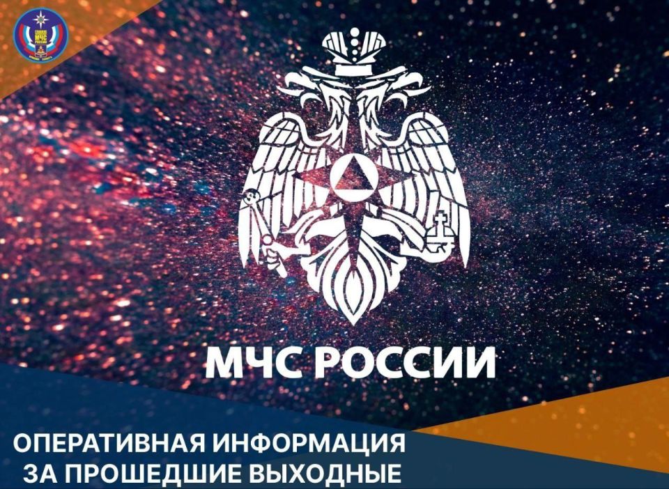 В Брянской области за минувшие выходные: