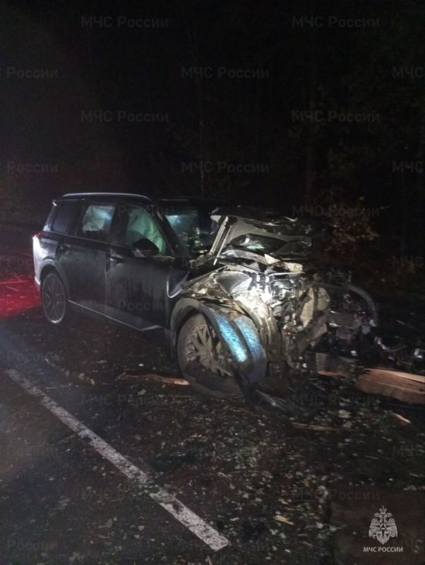 Серьезное массовое ДТП ночью произошло под Брянском