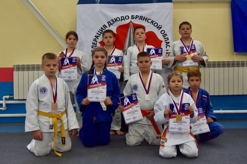 В Брянской области прошли соревнования по дзюдо в рамках федерального партпроекта «Выбор сильных»
