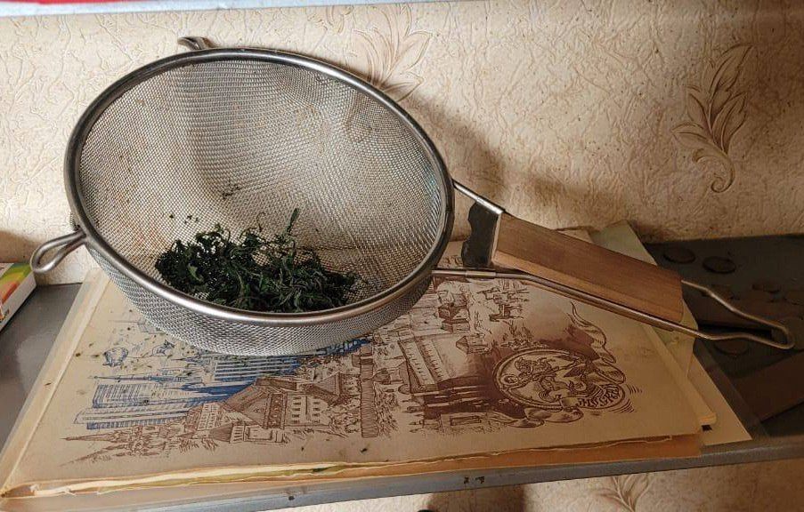 Житель Клинцов задержан полицией за выращивание конопли