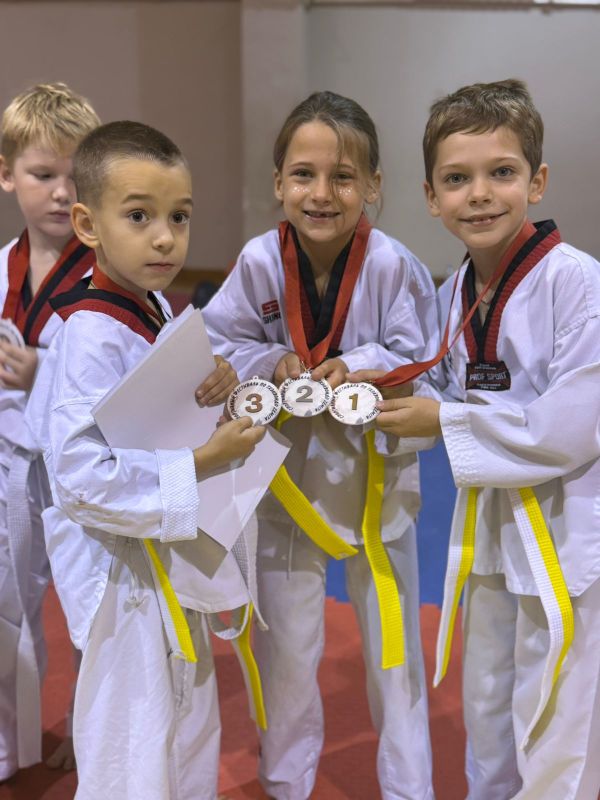 В Брянске состоялся семинар по тхэквондо