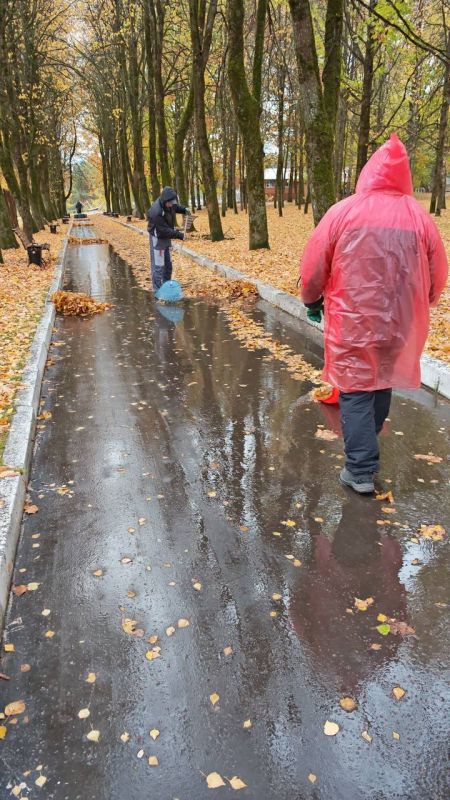 УБОРКА ОПАВШЕЙ ЛИСТВЫ В ПАРКАХ ИДЕТ ПОЛНЫМ ХОДОМ