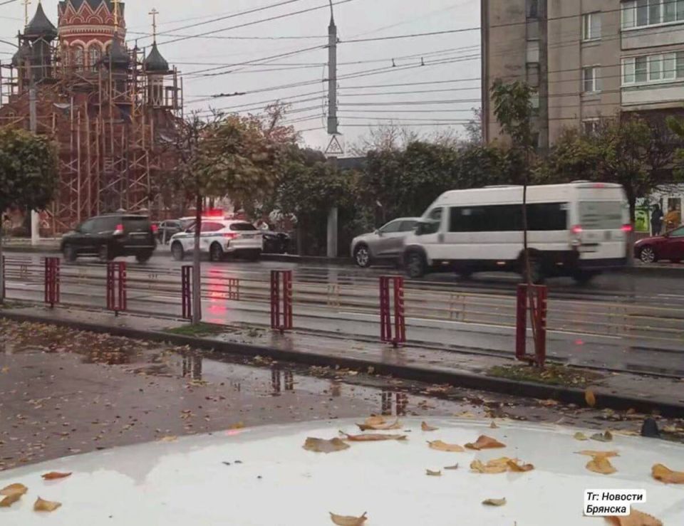 В Брянске водитель умер за рулём и врезался в дерево