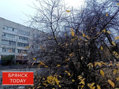 Стало известно, чем удивит брянцев погода 21 октября
