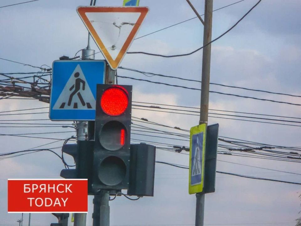 Audi сбил брянчанку, шедшую на красный свет