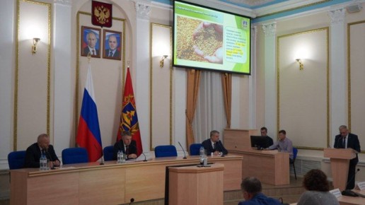 По севу озимых зерновых культур Брянщина заняла третье место в ЦФО