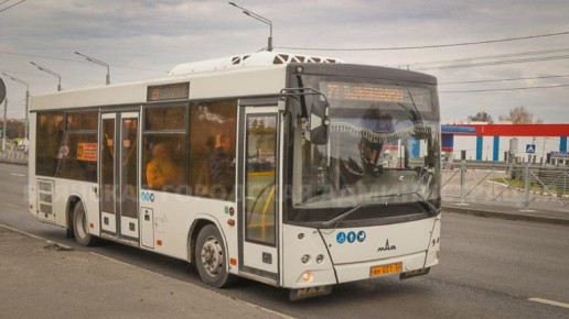      36    2025 