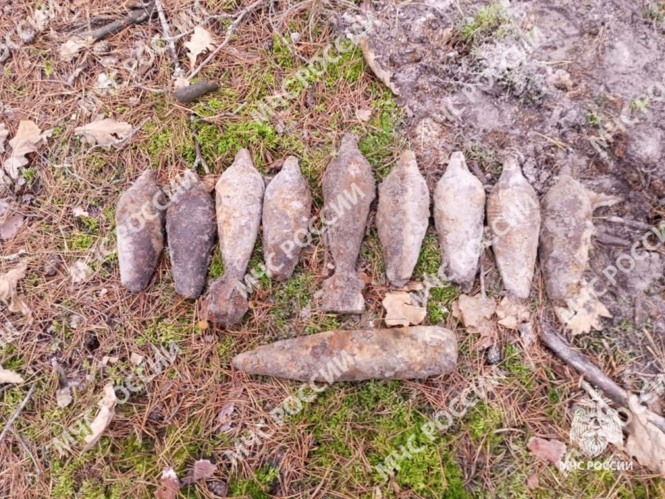 В Унечском районе обезврежены взрывоопасные предметы времён ВОВ