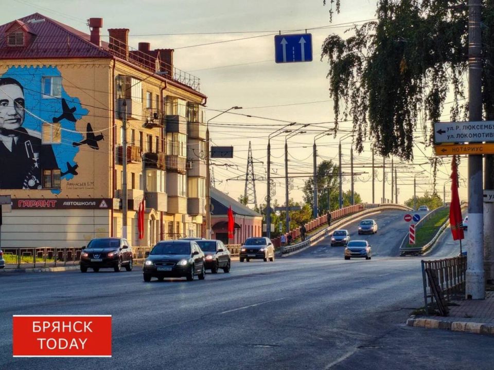 Видеозапись поставила точку в споре с брянчанкой по поводу ремня безопасности