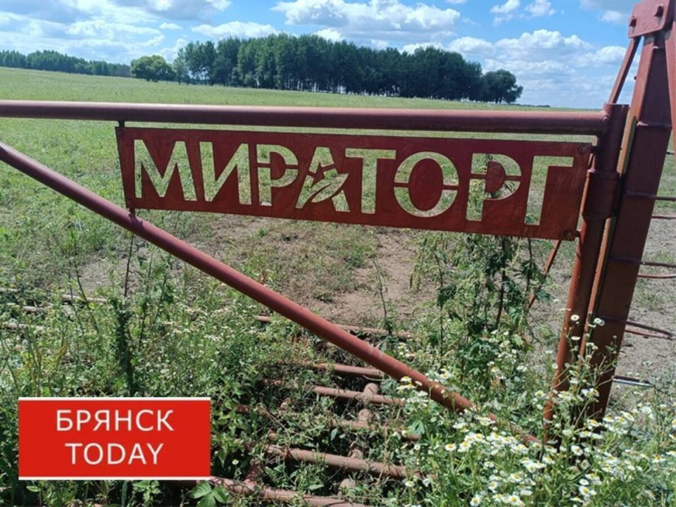 Дрон-убийца ВСУ атаковал кормовоз «Мираторга» в Севском районе