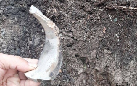 Удар возмездия за атаку на Брянскую область нанесен по объектам ВСУ