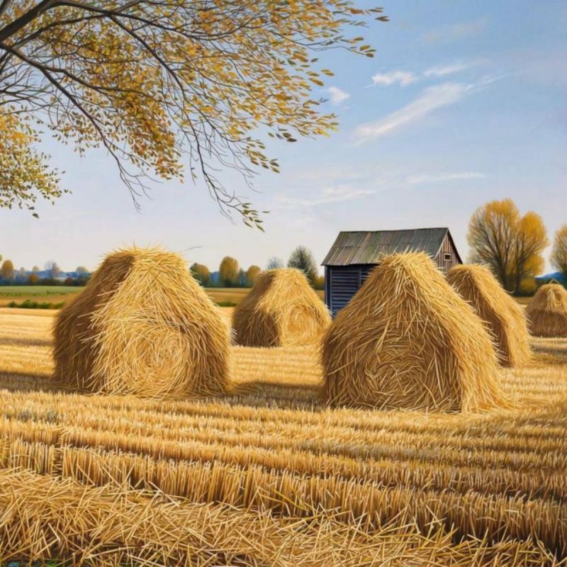 Брянского пенсионера заставят отрабатывать украденную солому