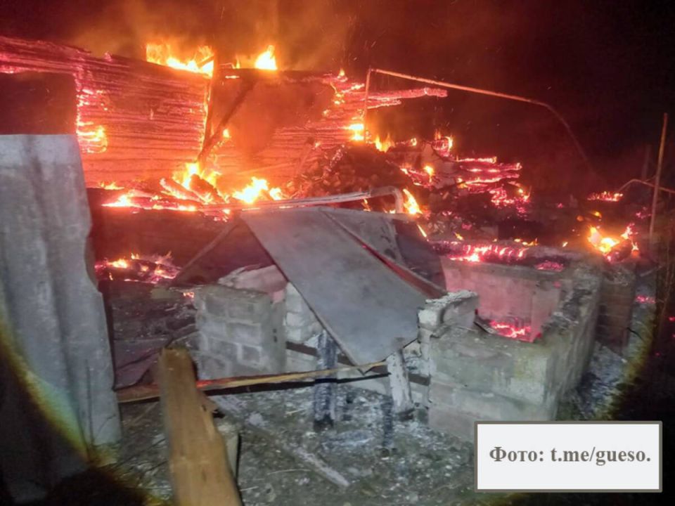 Брянцам показали ночной ужас в Зёрново