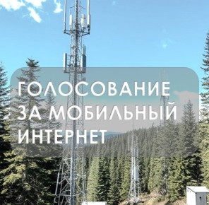 Голосуйте за интернет в брянских селах!