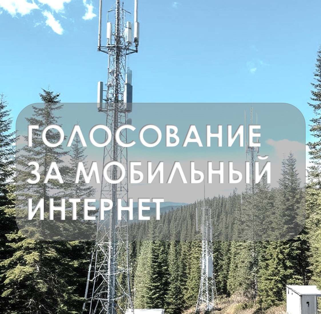 Голосуйте за интернет в брянских селах!