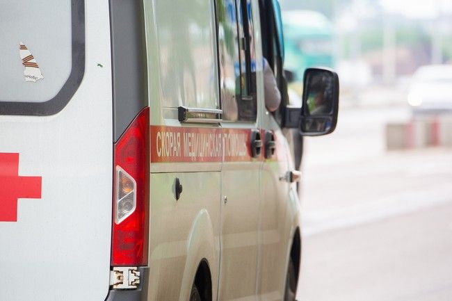 Житель Новозыбкова выплатит 150 тыс рублей компенсации из-за укуса ротвейлера