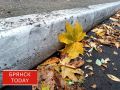 Вновь дожди: жителям Брянщины сообщили о погоде на 27 октября