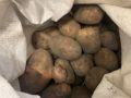 Жителям Брянщины пообещали картоху по доступным ценам