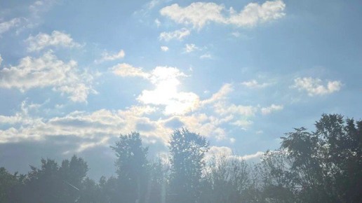 Брянцам пообещали +13C 27 октября