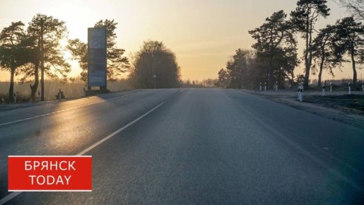 Корова помяла автомобиль в Брянской области