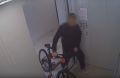 Пьяный брянец угнал велосипед из подъезда и завалился в кусты