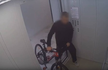 Брянский веловор не рассчитал силы и рухнул в кусты
