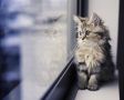 Так-так, иногда сбываются даже прогнозы погоды. Представляем прогноз на 28 октября в Брянске