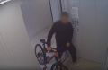 Брянский веловор не рассчитал силы и рухнул в кусты