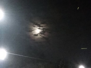 Громкие звуки разорвали ночное небо над Брянском