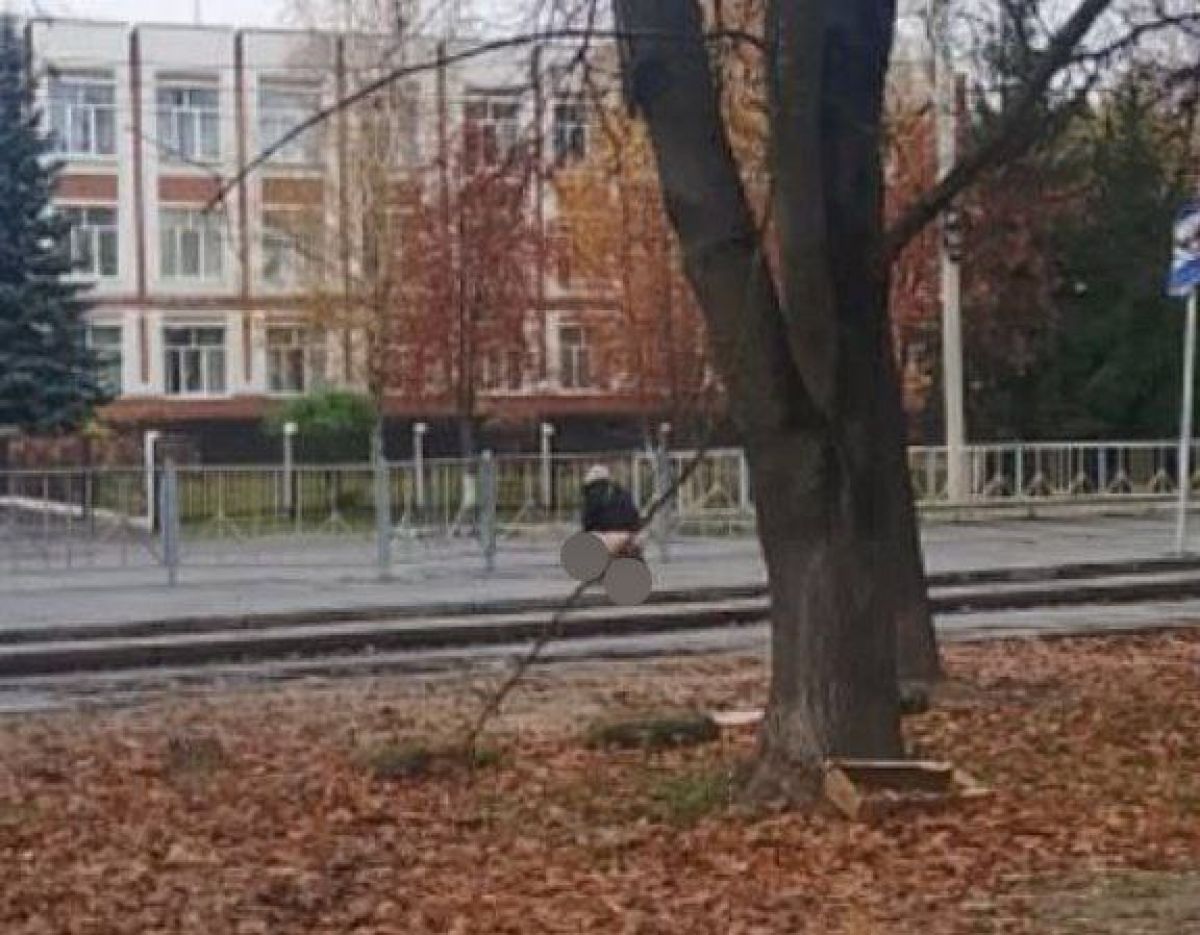 Фекальное ЧП в Брянске: мужчина опорожнился прямо напротив школы