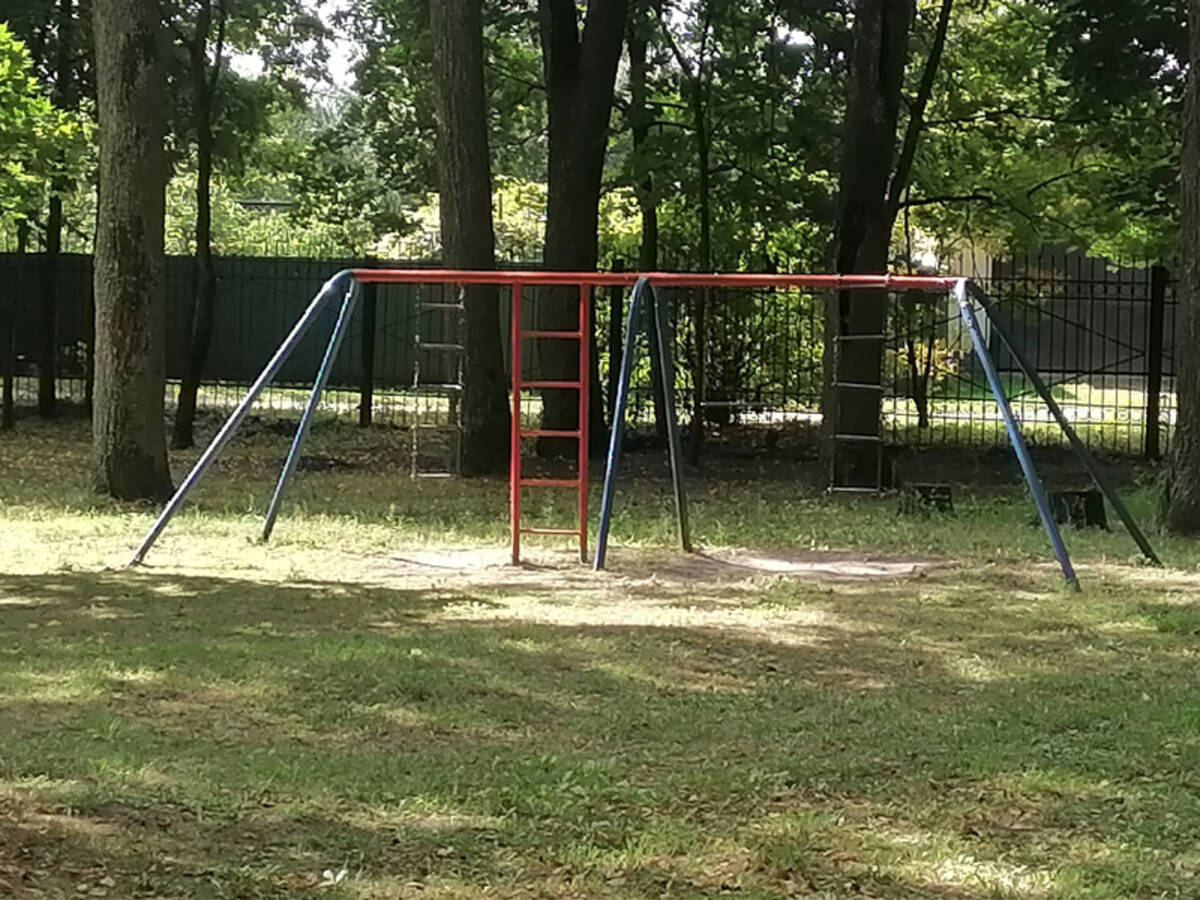 Травму девочки из Брасовского района оценили в 50 тысяч рублей