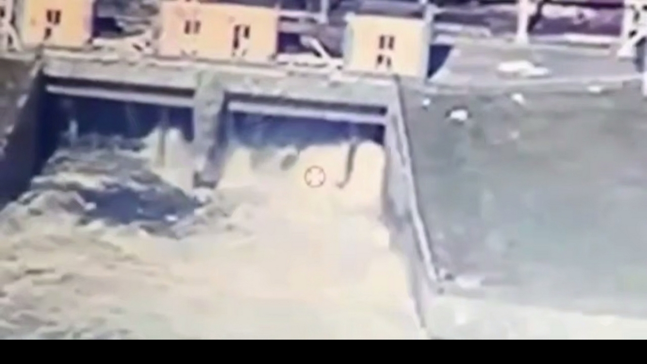 Киевский режим планирует гуманитарную катастрофу в российском приграничье