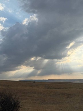В Брянской области объявили беспилотную опасность
