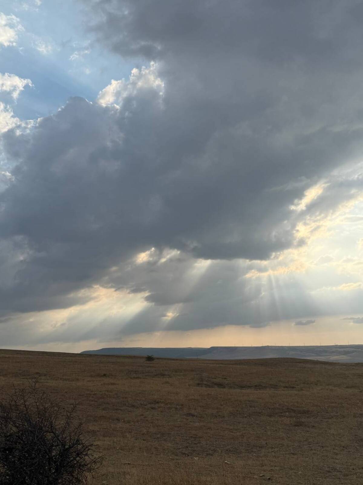 В Брянской области объявили беспилотную опасность