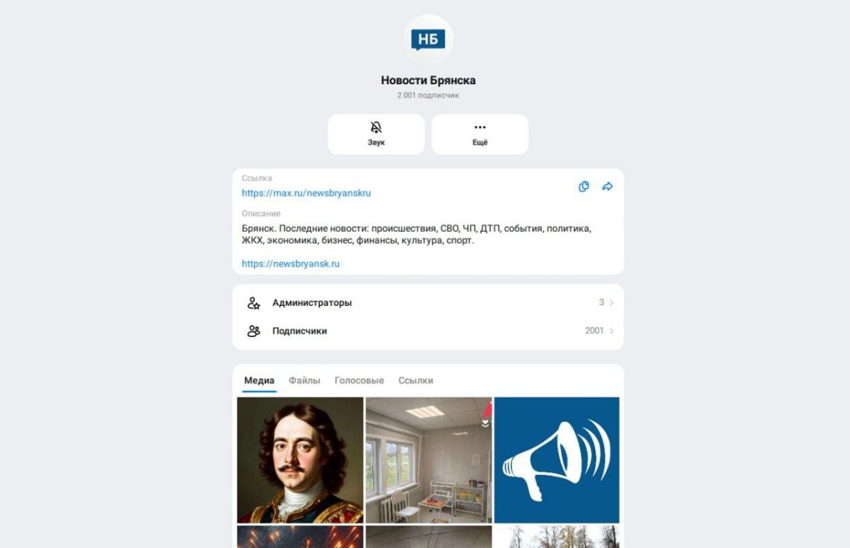 Более 2000 тысяч горожан читают «Новости Брянска» в MAX