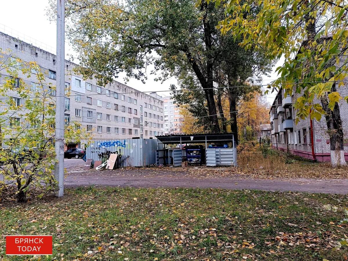 Прокуратуру Брянской области беспокоит вывоз мусора из Погара