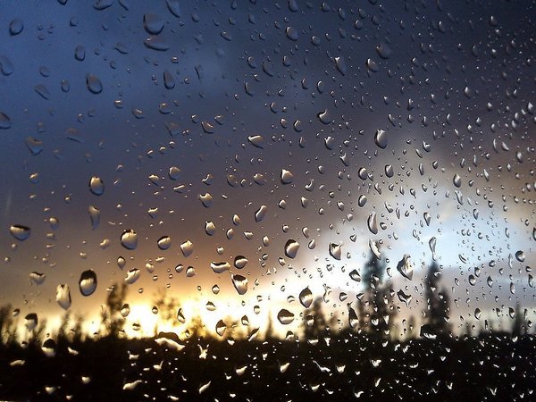 Вдохновение можно найти даже в прогнозе погоды. Представляем прогноз на 31 октября в Брянске