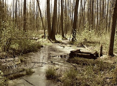 Бычин колодец: Три глотка благодати